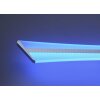 Paul Neuhaus Q-Riller Ceiling Light LED chrome, 2-light sources, Remote control, Colour changer