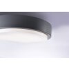 Paul Neuhaus Q-LENNY Ceiling Light LED anthracite, 1-light source, Remote control, Colour changer