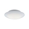 Paul Neuhaus Q-ARKTIS Ceiling Light LED white, 1-light source, Remote control, Colour changer