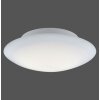 Paul Neuhaus Q-ARKTIS Ceiling Light LED white, 1-light source, Remote control, Colour changer