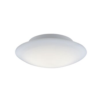 Paul Neuhaus Q-ARKTIS Ceiling Light LED white, 1-light source, Remote control, Colour changer