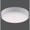Paul Neuhaus Q-LENNY Ceiling Light LED white, 1-light source, Remote control, Colour changer