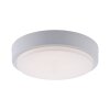 Paul Neuhaus Q-LENNY Ceiling Light LED white, 1-light source, Remote control, Colour changer