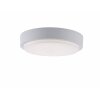 Paul Neuhaus Q-LENNY Ceiling Light LED white, 1-light source, Remote control, Colour changer