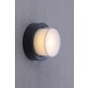Paul Neuhaus Q-ERIK Wall and Ceiling Light LED white, 1-light source, Motion sensor, Remote control, Colour changer