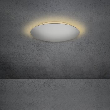 Escale BLADE Ceiling Light LED silver, 1-light source