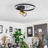 Reboleiro Ceiling Light LED black, 2-light sources