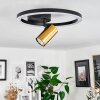 Reboleiro Ceiling Light LED black, 2-light sources