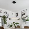 Barril Pendant Light LED black, 1-light source