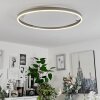 Barril Ceiling Light LED white, 1-light source