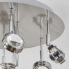 Fernandaires Ceiling Light LED matt nickel, 18-light sources