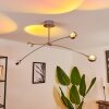 Fernandaires Ceiling Light LED matt nickel, 8-light sources