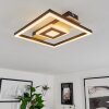 Taboneira Ceiling Light LED Ecru, black, white, 1-light source