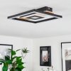 Taboneira Ceiling Light LED Ecru, black, white, 1-light source