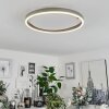 Barril Ceiling Light LED aluminium, 1-light source