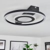 Canhoso Ceiling Light LED black, 1-light source