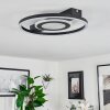 Canhoso Ceiling Light LED black, 1-light source