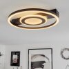 Canhoso Ceiling Light LED black, 1-light source