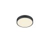 Trio Waco Ceiling Light LED black, 1-light source