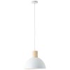 Brilliant Daintree Pendant Light white, 1-light source