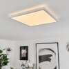 Sasinhosa Ceiling Light LED white, 1-light source, Remote control