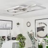 Relous Ceiling Light LED stainless steel, 3-light sources, Remote control, Colour changer