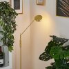 Huallilemu Floor Lamp LED brass, 1-light source