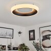 Mackay Ceiling Light LED white, 1-light source, Remote control
