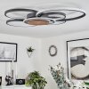 Kassambene Ceiling Light LED anthracite, Ecru, 1-light source, Remote control