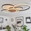 Kassambene Ceiling Light LED anthracite, Ecru, 1-light source, Remote control