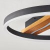 Angtasom Ceiling Light LED brown, Wood like finish, black, 1-light source, Remote control