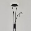 Chanlus UpLighter LED black, 1-light source