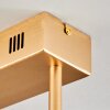 Gora Ceiling Light LED brass, 3-light sources