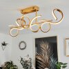 Gora Ceiling Light LED brass, 3-light sources