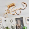 Gora Ceiling Light LED brass, 3-light sources