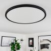 Hortinhas Ceiling Light LED black, 1-light source, Remote control, Colour changer