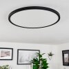 Hortinhas Ceiling Light LED black, 1-light source, Remote control, Colour changer