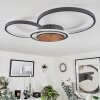 Kassambene Ceiling Light LED anthracite, Ecru, 1-light source