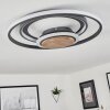 Kassambene Ceiling Light LED anthracite, Ecru, 1-light source