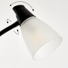 Phong UpLighter LED black, 2-light sources