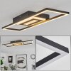 Vaseux Ceiling Light LED black, white, 1-light source