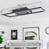 Vaseux Ceiling Light LED black, white, 1-light source