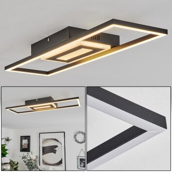 Vaseux Ceiling Light LED black, white, 1-light source