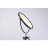 Leuchten-Direkt CARL Floor Lamp LED black, 1-light source