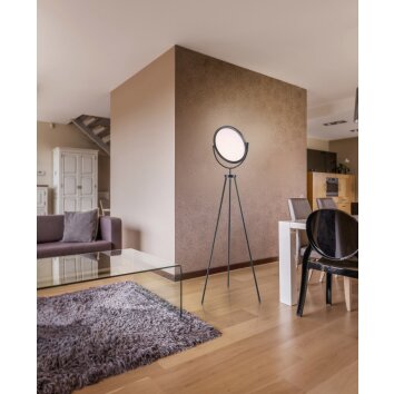 Leuchten-Direkt CARL Floor Lamp LED black, 1-light source