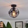 Freguesia Ceiling Light black, 1-light source