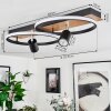Boim Ceiling Light LED Wood like finish, black, 3-light sources