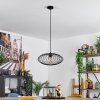 Banleou Pendant Light black, 1-light source