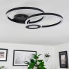 Serzedelo Ceiling Light LED black, 1-light source