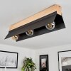 Sangkor Ceiling Light Ecru, black, 3-light sources